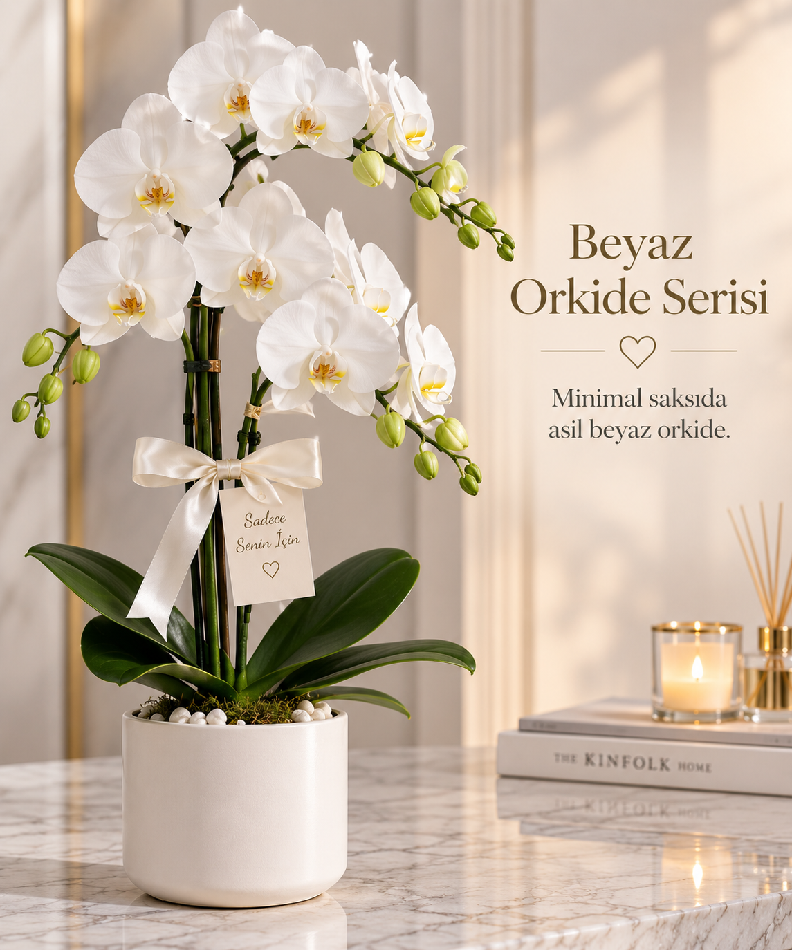 Beyaz Orkide Serisi
